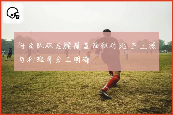 河南队双后腰覆盖面积对比 王上源与科维奇分工明确