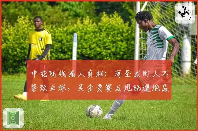 申花防线漏人真相：蒋圣龙盯人不紧致丢球，吴金贵赛后甩锅遭炮轰