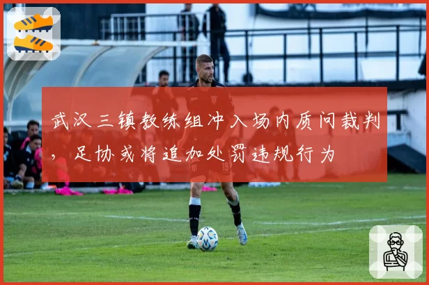 武汉三镇教练组冲入场内质问裁判,足协或将追加处罚违规行为