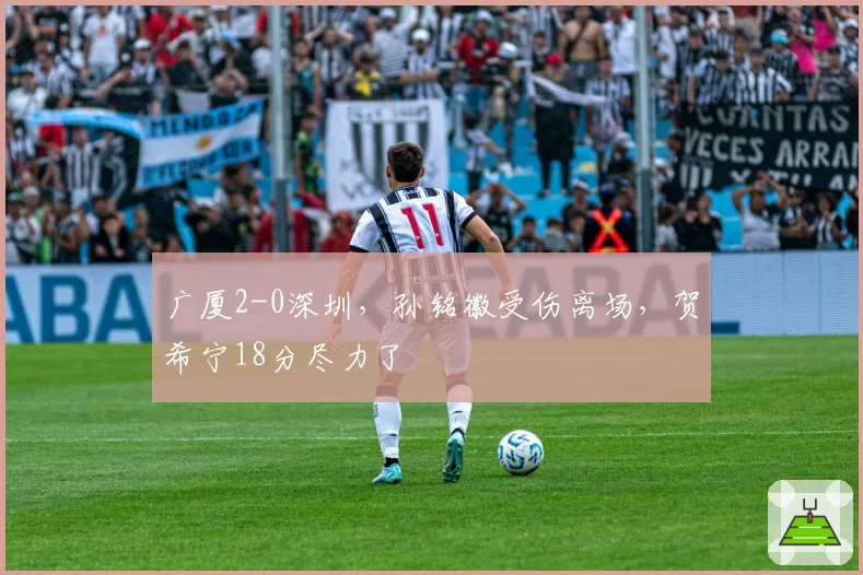 广厦2-0深圳，孙铭徽受伤离场，贺希宁18分尽力了